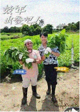 舞台之上光影独舞推荐图